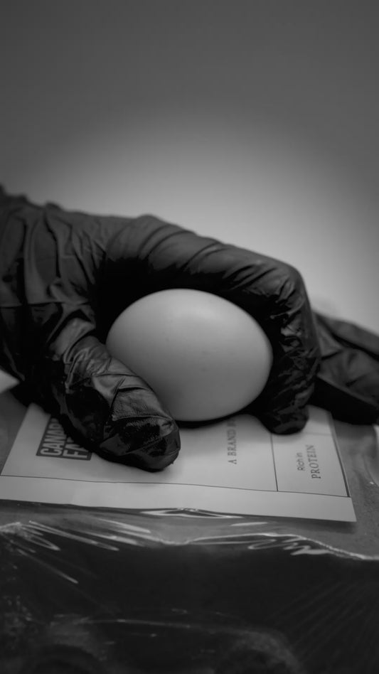 Free Range Brown Eggs - 12 Eggs